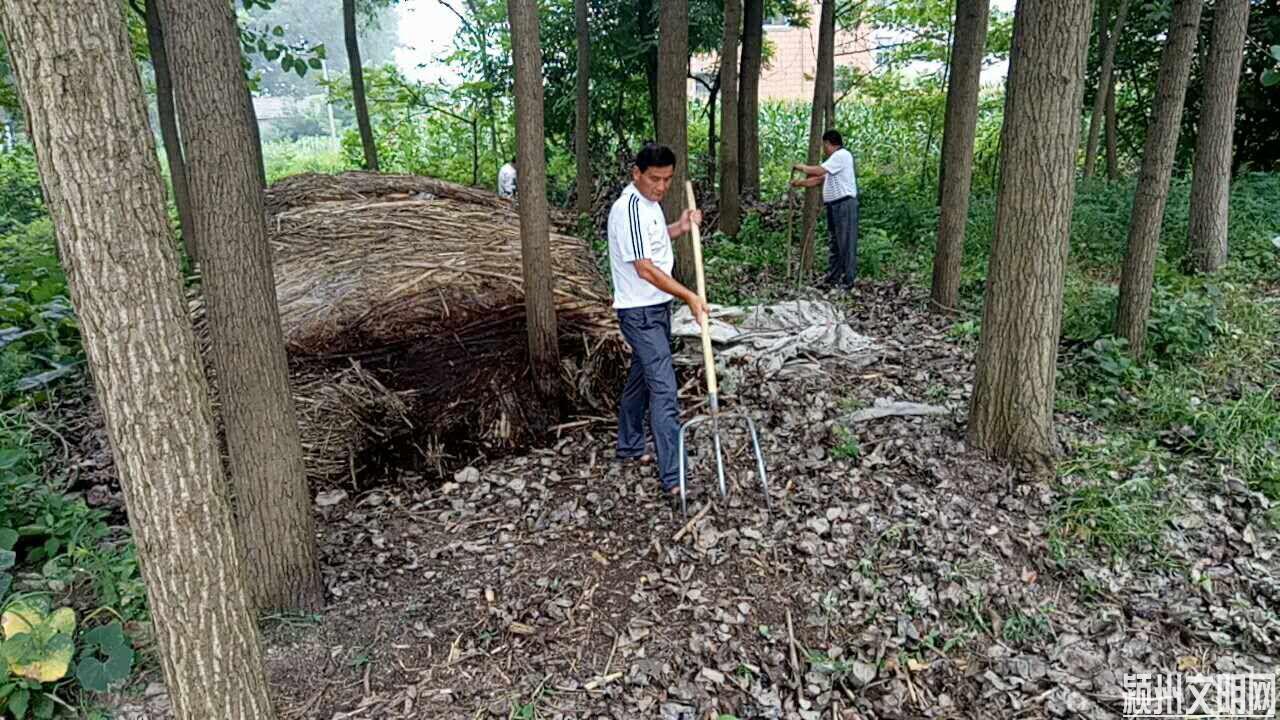 QQ图片20170731081957